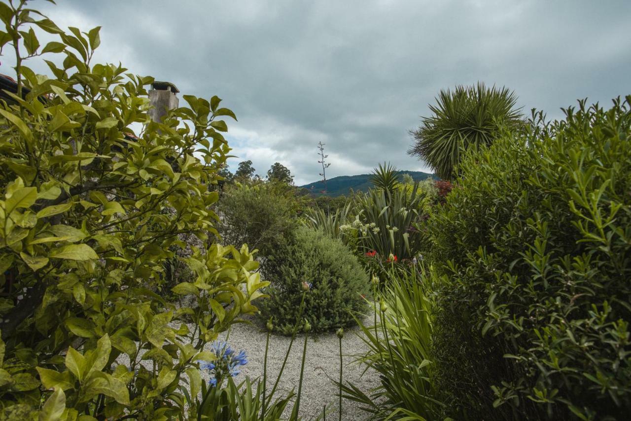 O Curralino Guest House Vilacoba Luaran gambar